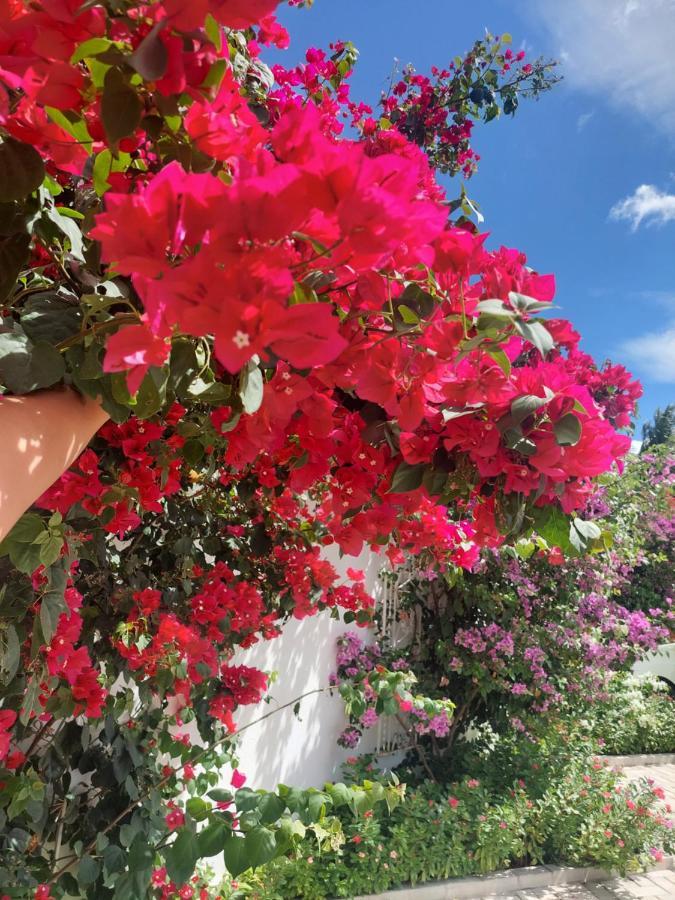 Buganvilia Pousada & Bistro Santa Cruz  Dış mekan fotoğraf